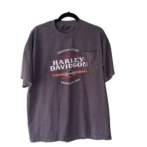 Harley Davidson men’s graphic short sleeve T-shirt gray l-XL